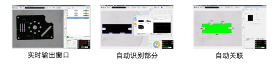 QVI® SNAP DM200 - 效率与自动化