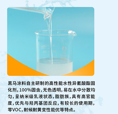 水性异氰酸酯固化剂