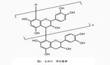 葡萄籽多酚“原花青素” 具有的抗氧化性能与对皮肤的功效