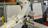 Sorting robot on an axis