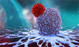 CAR-T疗法攻克实体瘤：T细胞耗竭有望被解决