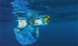 Verstraete IML commits to New Plastics Economy