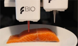 植物蛋白+3D打印，这是你要的三文鱼吗？