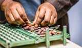 Sidel and Niche Cocoa team up for initiative in Ghana