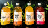 Kombynation: From kombucha to biotech platform