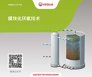 威立雅水处理技术 (上海) 有限公司