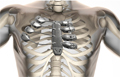 【前沿】3D打印成为医疗植入体制造市场主力军