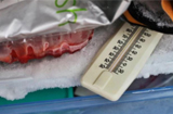 冷藏包装解决方案确保易腐食品安全运输