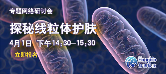 线粒体护肤
