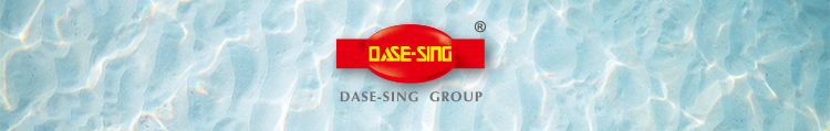 DASE-SING GROUP