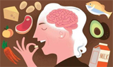 大脑健康配方的关键元素