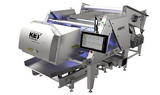 Digital sorter combines NIR with colour camera