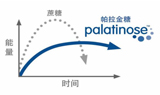 帕拉金糖: 血糖健康的智能管家