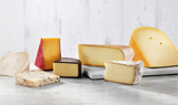 DSM cheese biopreservation portfolio includes phage-robust culture rotations