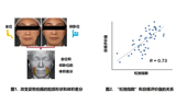 资生堂开发出高精度“松弛”评价方法
