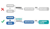 强修复、全效抗衰的橄榄神经酰胺