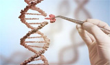 CRISPR基因疗法： 2023会是里程碑的一年吗？