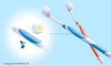 Sustainable TPE targets the oral care market