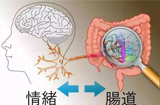 肠脑轴食品成分再扩大：联合利华入局