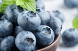 德之馨推出一系列天然蓝莓成分