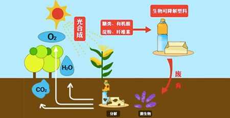 疫情下，生物可降解塑料市场面临哪些挑战？