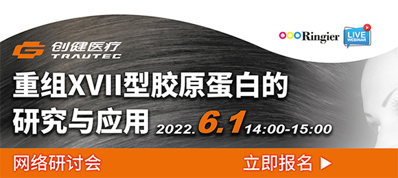 6.1首课，认识表皮最深层的XVII型胶原蛋白